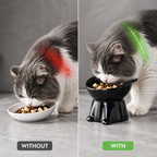 LunaLift™ — Transform Your Cat’s Mealtime into Pure Comfort and Joy