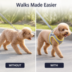 PawStroll™ — Make Every Walk Easier, Happier, and Ready to Go