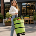 FlexiCart™ — Carry More, Stress Less, and Glide Through Life with Effortless Ease