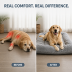 SereniNest™ — Transform Your Pet’s Pain into Pure, Restful Bliss