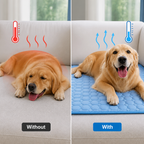 ChillPaw™ — Instant Cool Comfort That Keeps Your Pet Happy, Cool, and Refreshed Anywhere