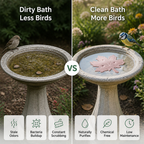 VividStream™ Bird Bath Purifier — Transform Your Garden Into a Lively, Inviting Sanctuary Without the Work