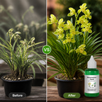 GardenPulse™ — Ignite Lush Growth and Bloom Like Never Before