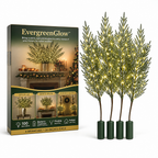 EvergreenGlow™ — Bring a warm, welcoming glow to every corner of your home—no outlet needed”】【
