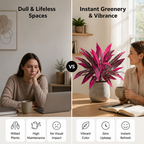 Leafora™ — Transform Any Space into a Lush, Stress-Free Oasis of Calm and Beauty