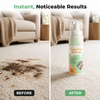 PureMist Foam™ — Instantly Revive Your Carpets with Dry, Deep-Clean Freshness
