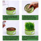 VerduraPaws™ — Ignite Your Cat’s Joy with Lush, Soothing Greens Grown at Home