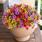 ForeverFresh™ — Bring Lasting Blooming Beauty Without Any Effort