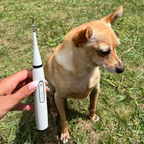 PurePaw™ Sonic Scaler — Effortless, Pain-Free Dental Care That Brightens Your Dog’s Smile and Boosts Their Happiness