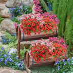 ForeverFresh™ — Bring Lasting Blooming Beauty Without Any Effort