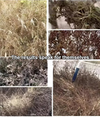 TerraGuard™ — Crush Weeds Fast and Watch Your Crops Soar