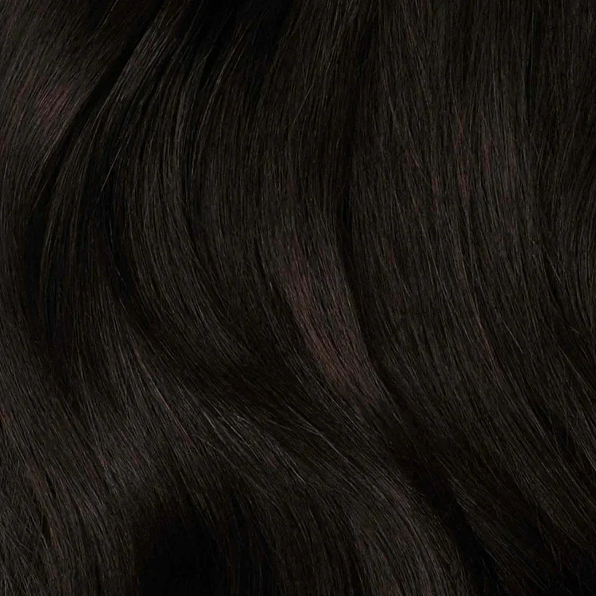 VivaRoot™ — Instantly Transform Your Hairline and Own Every Room