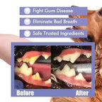 PureSmile™ — Freshen Your Dog’s Breath Instantly and Protect Their Smile Without the Brush
