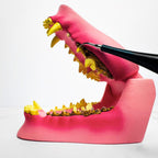 PurePaw™ Sonic Scaler — Effortless, Pain-Free Dental Care That Brightens Your Dog’s Smile and Boosts Their Happiness