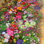 PetalPulse™ — Ignite Your Garden with Endless Blooms and Effortless Beauty
