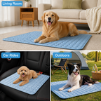 ChillPaw™ — Instant Cool Comfort That Keeps Your Pet Happy, Cool, and Refreshed Anywhere