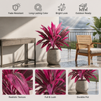 Leafora™ — Transform Any Space into a Lush, Stress-Free Oasis of Calm and Beauty