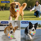 VivaPaw™ — Ignite Wild Play and Calm Focus with Every Thrilling Fetch