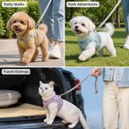 PawStroll™ — Make Every Walk Easier, Happier, and Ready to Go