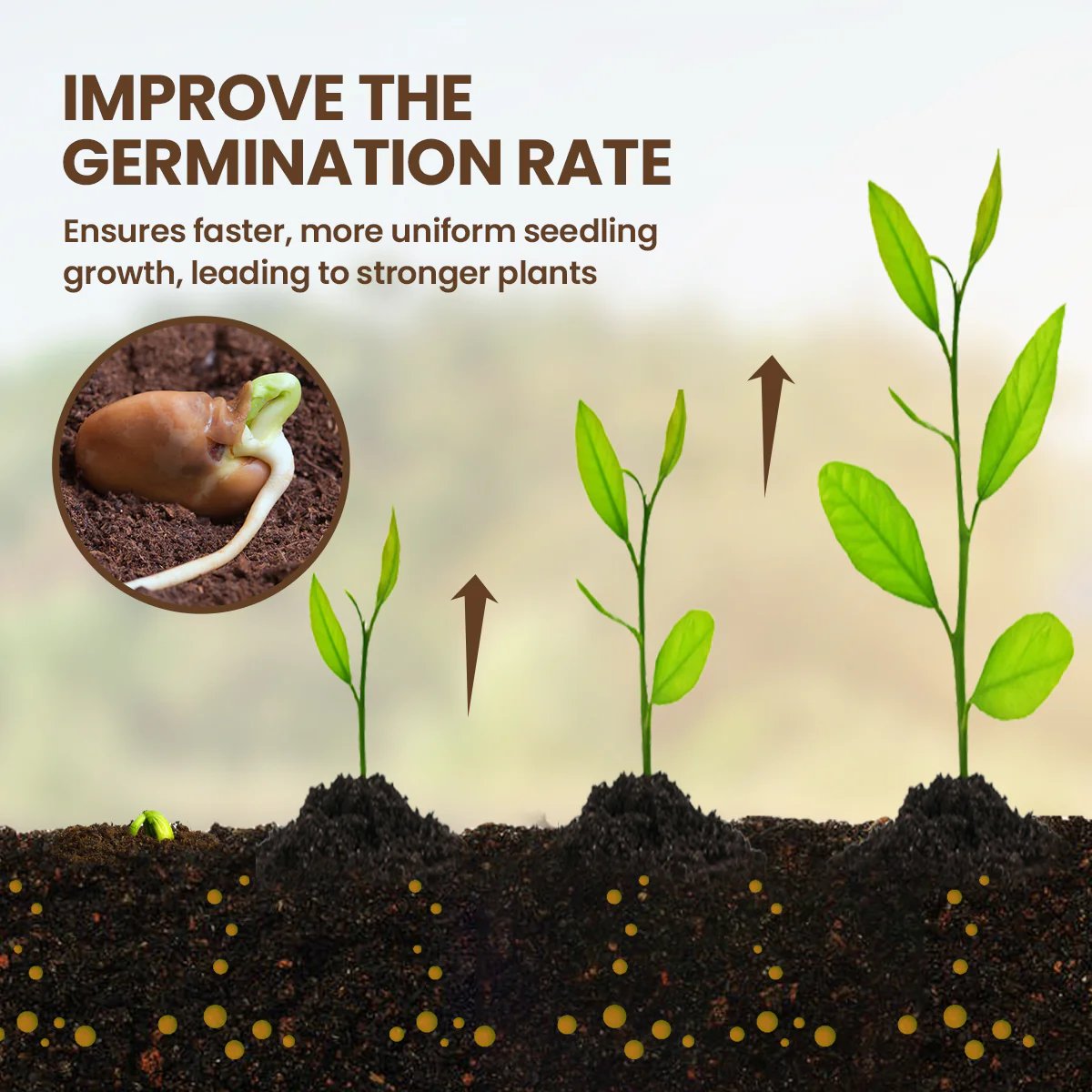 TerraPulse™ — Ignite Explosive Growth and Transform Your Garden into a Lush Paradise