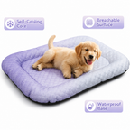 FrostPaw™ — Instant, Soothing Cool Relief Your Pet Will Crave All Day