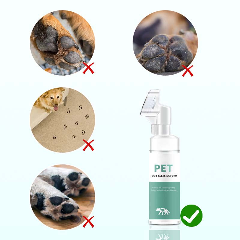 PawSoothe™ — Transform Your Pet’s Paws into Soft, Fresh, and Happy Touchpoints