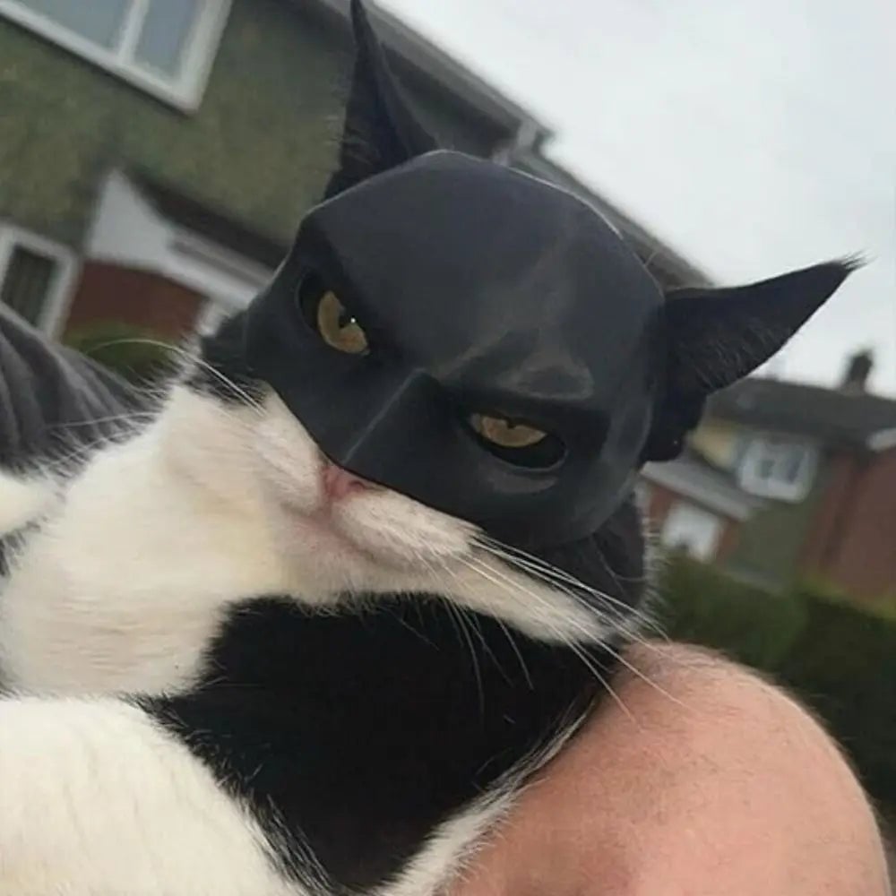 ShadowClaw™ — Unleash Your Cat’s Fierce, Magnetic Confidence Instantly