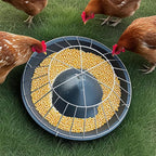 FeatherHarmony™ — Bring Peace and Plenty to Every Bird’s Meal Time