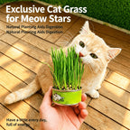 VerduraPaws™ — Ignite Your Cat’s Joy with Lush, Soothing Greens Grown at Home