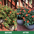 VerdanRise™ — Effortless, Long-Lasting Nourishment for a Thriving, Vibrant Garden