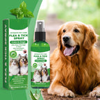 RamendaShield™ — Gentle, Plant-Powered Relief That Keeps Pets Happy and Itch-Free