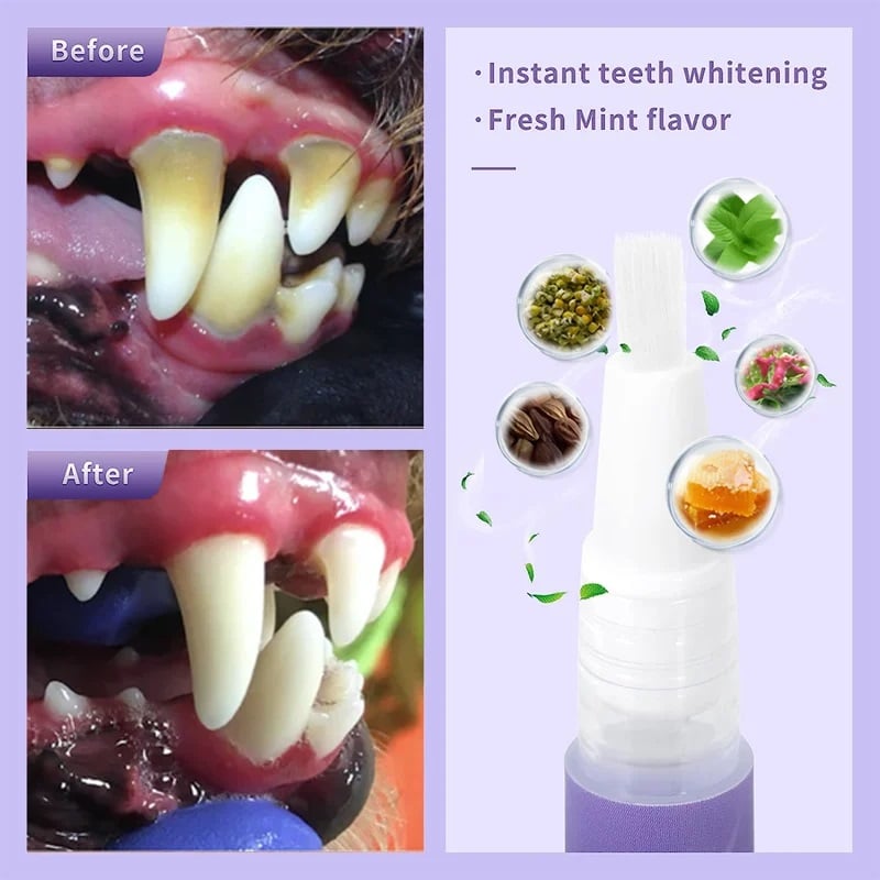 VitaSmile™ — Transform Your Pet’s Smile with Pain-Free Freshness (1+1 FREE TODAY!)