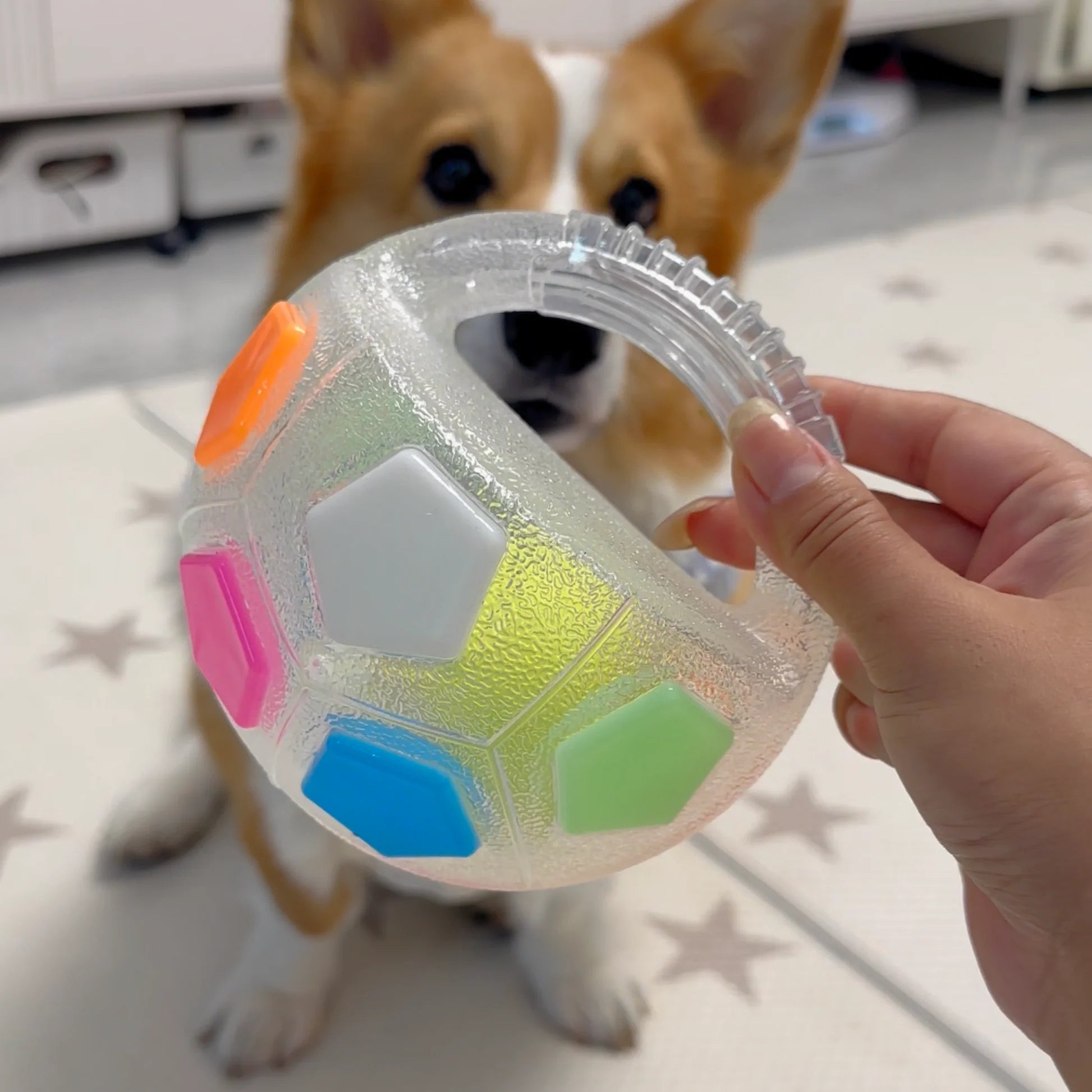 TurboPawz™ — Unleash Endless Joy and Unbreakable Playtime Magic