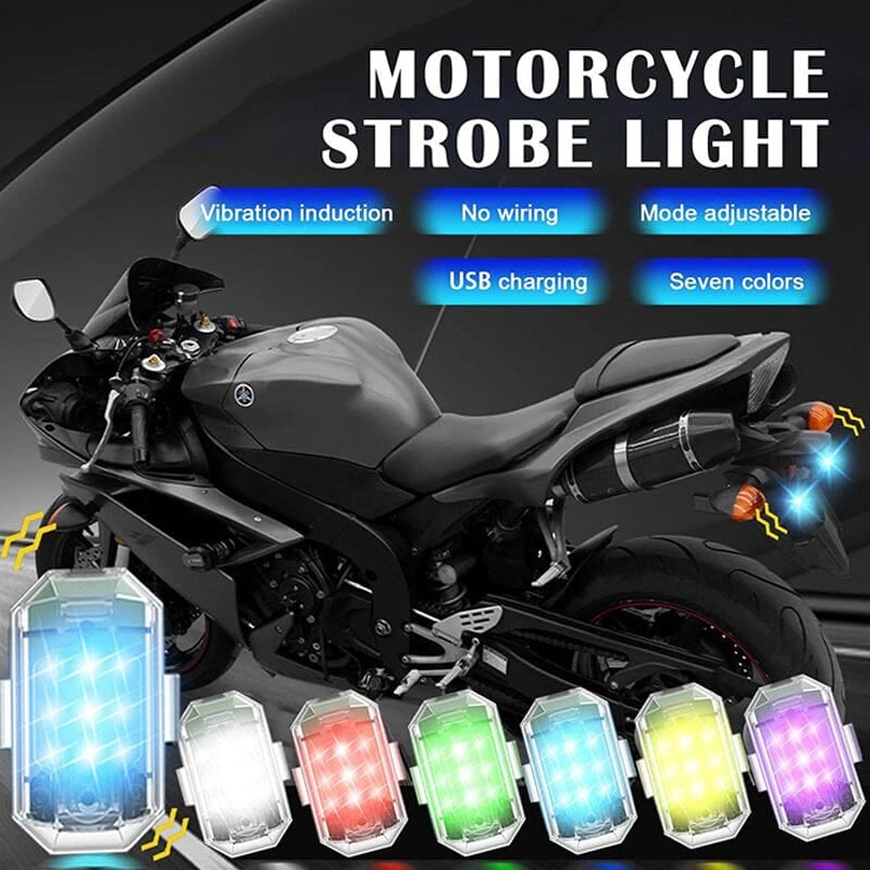 DynaPulse™ — Command Every Road with Dazzling Color and Total Control
