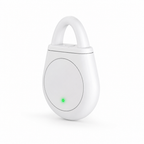 Pestivo™ Keychain — Experience Instant, Chemical-Free Peace Anywhere You Go