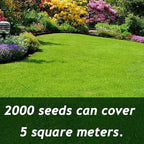 VerdiLux™ — Turn Your Yard Into an Instant Lush, Green Paradise That Lasts All Year