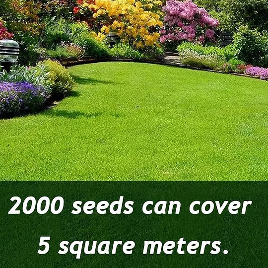 VerdiLux™ — Turn Your Yard Into an Instant Lush, Green Paradise That Lasts All Year