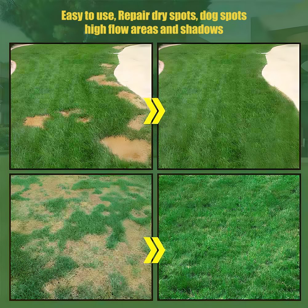 VerdiLux™ — Turn Your Yard Into an Instant Lush, Green Paradise That Lasts All Year