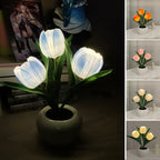 RadianceBloom™ — Instantly Wrap Your Room in Soothing, Romantic Light