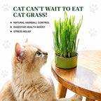 VerduraPaws™ — Ignite Your Cat’s Joy with Lush, Soothing Greens Grown at Home