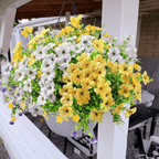 ForeverFresh™ — Bring Lasting Blooming Beauty Without Any Effort