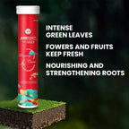 VerdanRise™ — Effortless, Long-Lasting Nourishment for a Thriving, Vibrant Garden