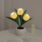 RadianceBloom™ — Instantly Wrap Your Room in Soothing, Romantic Light