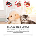 RamendaShield™ — Gentle, Plant-Powered Relief That Keeps Pets Happy and Itch-Free