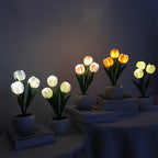 RadianceBloom™ — Instantly Wrap Your Room in Soothing, Romantic Light