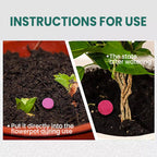 VerdanRise™ — Effortless, Long-Lasting Nourishment for a Thriving, Vibrant Garden