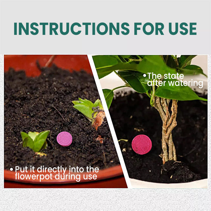 VerdanRise™ — Effortless, Long-Lasting Nourishment for a Thriving, Vibrant Garden