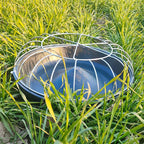 FeatherHarmony™ — Bring Peace and Plenty to Every Bird’s Meal Time