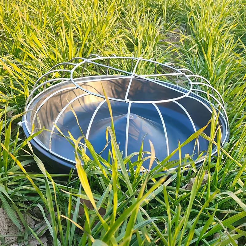 FeatherHarmony™ — Bring Peace and Plenty to Every Bird’s Meal Time