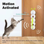 PounceVibe™ — Ignite Wild Play and Endless Joy on Every Wall